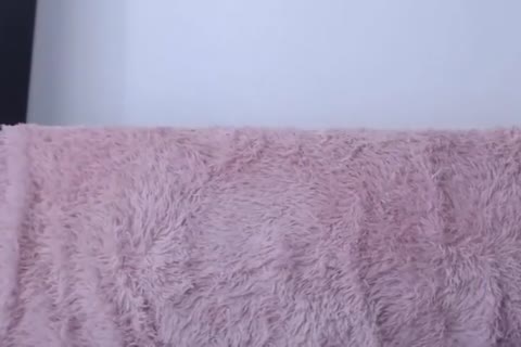 web camera Show
