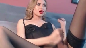 skinny Colombian lady-man In darksome underware And nylons Tugs Her large cock