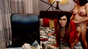 Two excited ladyboy Playfully bone Each Other